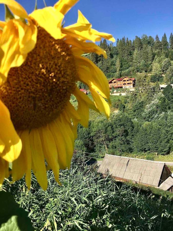 Privatna Sadiba Chalet Oryavchyk Exterior foto